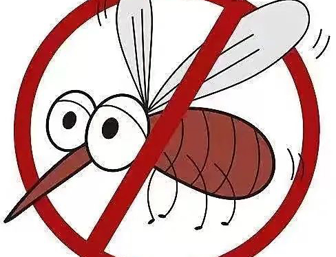 六月健康提示 | 蚊媒传染病高发季，注意做好防护！